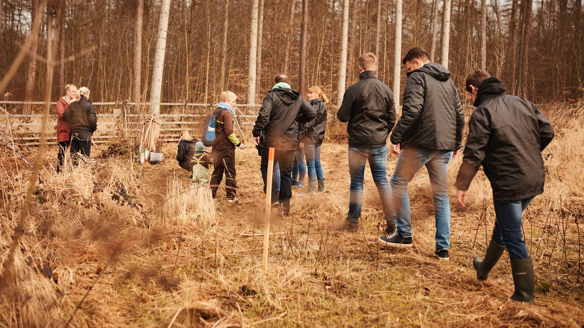 Volunteering Day - Baumpflanzaktion